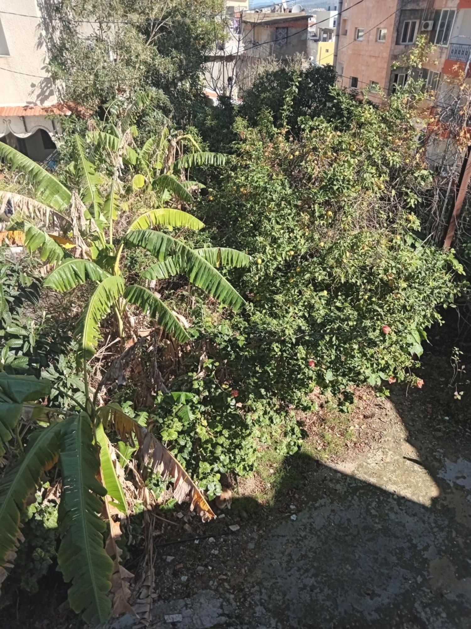 Maison De Vacances 塔巴卡 外观 照片